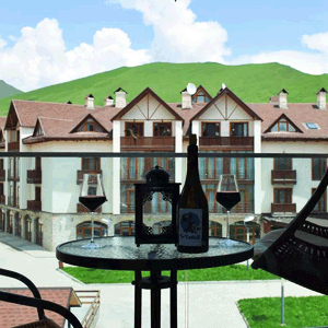 GoGudauri GoGudauri